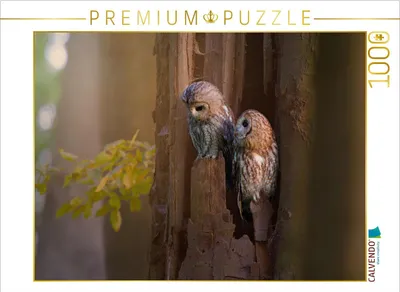 Produktbild von CALVENDO Puzzle Eulenliebe | 1000 Teile Lege-Größe 64x48cm Foto-Puzzle für glückliche Stunden