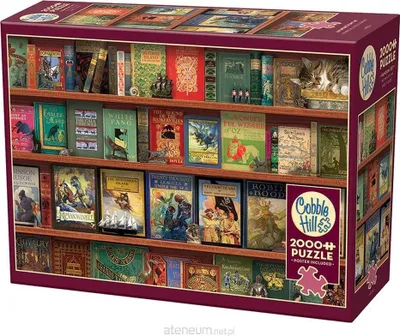 Obrázek produktu pro Puzzle 2000 Książki przygodowe 113105