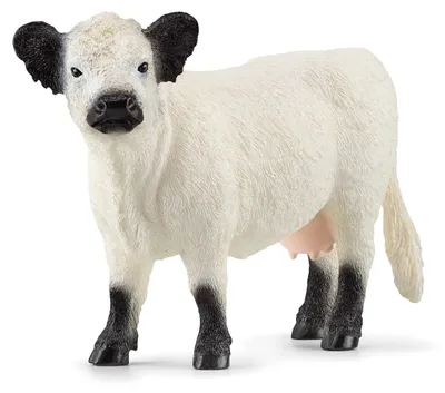 Immagine prodotto di Schleich WIP 13960-BLANCA in White color size Talla unica