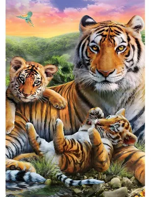 Produktbild von 5D Diamond Painting Set Tiger Familie 30x40cm