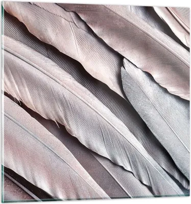 Produktbild von Bilder auf glas - Einteilig - Federn Flügel Feder - 60x60cm - Glasbilder - Wandbilder - Bilder - zum Aufhängen bereit - Wanddekoration aus Glas - Glas Bilder - Wandbild auf Glas - GAC60x60-5114