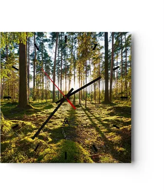 Produktbild von Wanduhr - Quadrat - Glasuhr - Wald Baum Natur - 40x40cm - Schleichendes Uhrwerk - Lautlos - zum Aufhängen bereit - Dekoration Modern - Wanddekoration aus Glas - C3AC40x40-3724