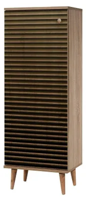 Produktbild von Schuhschrank Dgrandin, Schuhregal, Mehrzweck-Eingangsgarderobe, Möbel für Schuhe, 50x38h135 cm, Eiche