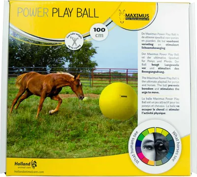 Zdjęcie produktu dla Średnica piłki Maximus Power Play w cm - 100 cm