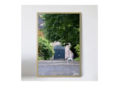 Produktbild von Bulldogge Hund Holz Foto-Bild Kunst Fotografie 40x60cm Wandbild Bulldog Welpe