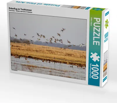 Produktbild von CALVENDO Puzzle Entenflug im Teufelsmoor | 1000 Teile Lege-Größe 64x48cm Foto-Puzzle für glückliche Stunden