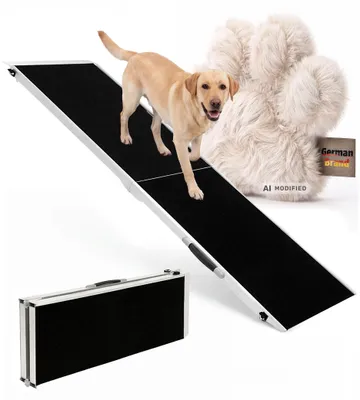 Hund auf Rampe
