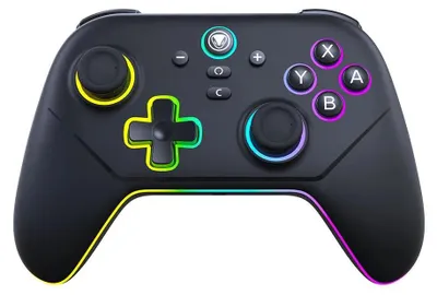 Produktbild von Snakebyte Switch 2 Controller One Size