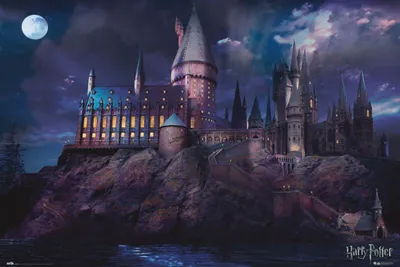 Zdjęcie produktu dla Plakat Harry Potter Hogwart 91,5x61cm
