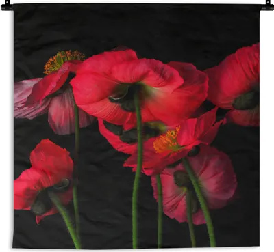 Produktbild von MuchoWow® Wandteppich Wandbehang Die isländischen Mohnblumen auf schwarzem Hintergrund 60x60 cm Tapisserie Dekoration Wandtuch - Dekorationen - Wand Decke