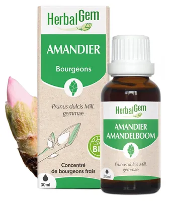 Zdjęcie produktu dla Herbalgem - Ekstrakt z pąków moreli -- 30 ml