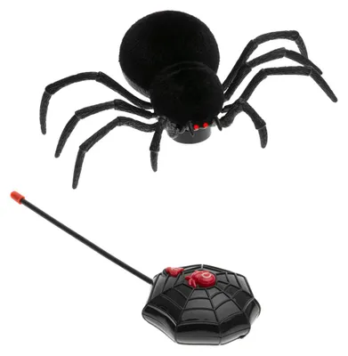 Produktbild von Schwarze, Laufende Spinne mit Fernbedienung als Halloween Gimmick 20 cm