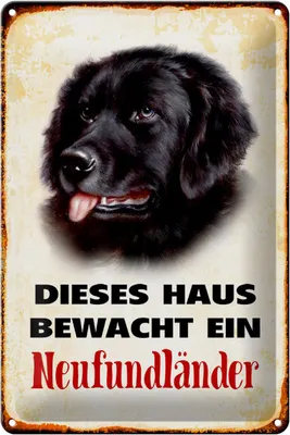 Produktbild von Blechschild Hund 20x30cm dieses Haus bewacht Neufundländer