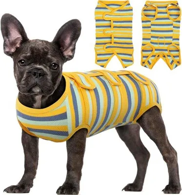 Imagen del producto de Chalecos transpirables para perros postoperatorios, disponibles en varios colores, para gatos y perros