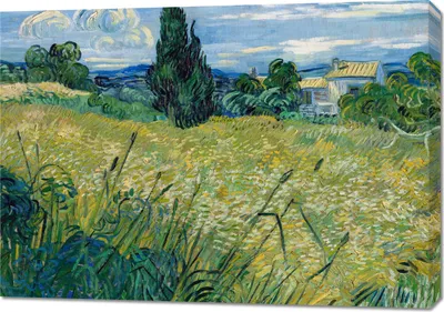 Immagine prodotto di Quadro 100x70 cm  Campo di grano verde con cipresso, Van Gogh Vintage