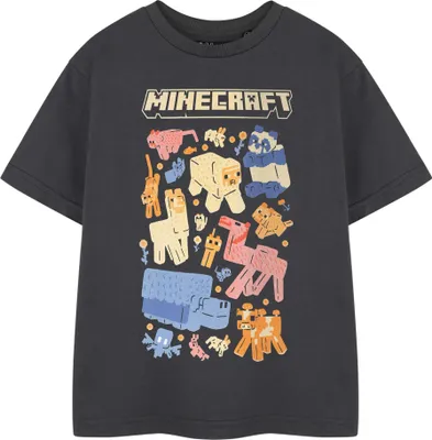 Produktbild von Minecraft - T-Shirt für Mädchen, kurzärmlig NS9004 (128) (Grau meliert)