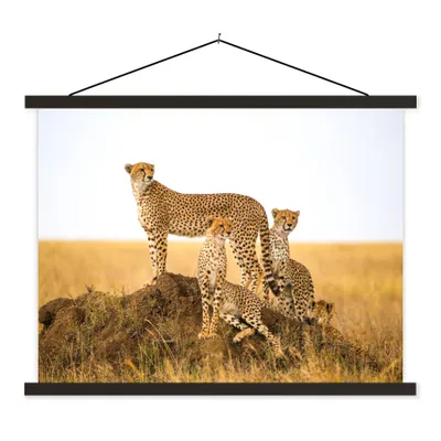 Produktbild von MuchoWow® Textilposter Gepard - Gras - Natur - Savanne 40x30 cm mit schwarzem Rahmen - Dekorationen