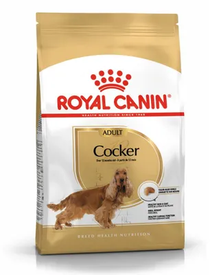 Zdjęcie produktu dla Royal Canin Cocker Adult, Dorosły, Cocker Spaniel, Średnie (11 - 25 kg), Kukurydza, Drób, Ryż, 12 kg