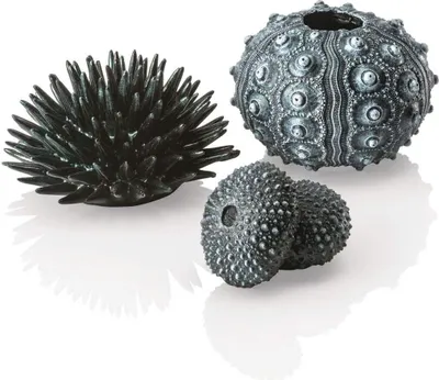 Obrázek produktu pro biOrb sea urchins set black