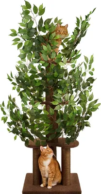 Produktbild von Kratzbaum mit Blättern – Stabiler & Platzsparender Katzenbaum – 4 kratzbare Ebenen & 3 Kratzsäulen – Klettern, Verstecken, Schlafen – Einfache Montage – Haustiersicherer & Langlebiger Cat Tree Natur