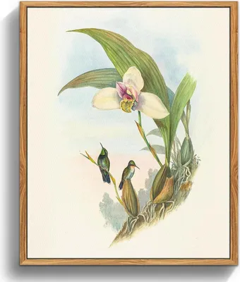 Zdjęcie produktu dla Płótno z ptakami w drewnianej ramie, 30x40cm, dekoracja salonu i sypialni