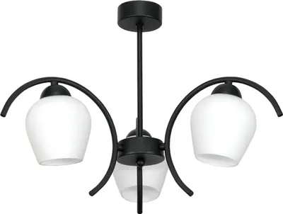 Immagine prodotto di Lampada Da Soffitto Lampada A Sospensione Lampada In Vetro Nero Bianco 15-322 Dani