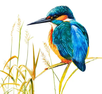 Produktbild von Flamingo Karte Eisvogel, Maße: 13,7 x 13,7 cm