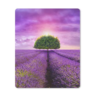 Produktbild von MuchoWow® Mauspad Mousepad Lavendel - Baum - Lila - Wolken 19x23 cm - Mousepads - Maus Mat - Pad - Mausunterlage - Mauspads - Spielen