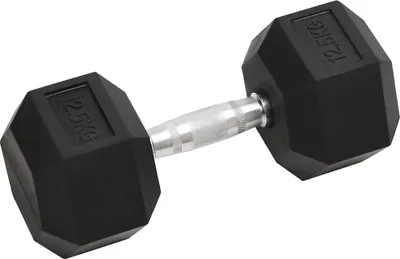 Obrázek produktu pro vidaXL Činky 2 ks 25 kg celkem litina