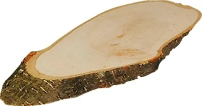 Produktbild von KNORR PRANDELL 2126760042 Baumscheibe 37 - 42 cm
