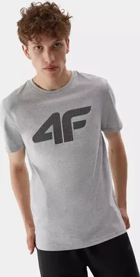 Produktbild von 4F Herren-T-Shirt mit Aufdruck Gwyrat grau M