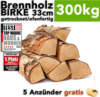 Produktbild von Brennholz Birkenholz 25cm Holzscheite im 300kg Karton für Kamin Kaminofen Feuerschale Grill kammergetrocknet ofenfertig - Feuerholz Birke von HOLZBRX