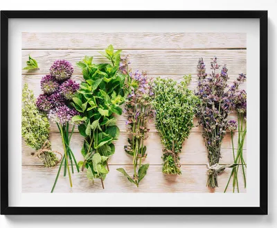 Produktbild von Pflanzen und Kräuter auf Brettern– Wandbild mit Rahmen – Gerahmtes Bild  – Wanddekoration – 80x60 cm –  Schwarz Rahmen
