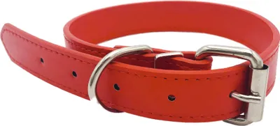 Produktbild von Hundehalsband NERO - rot XS