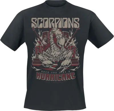Produktbild von Scorpions T-Shirt Herren Hurricane 40th Anniversary schwarz XXL