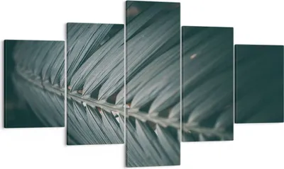 Produktbild von Bild auf Leinwand - Leinwandbild - 5 Teile - Blatt Palme exotisch - 125x70cm - Wand Bild - Wanddeko - Wandbilder - Leinwanddruck - Bilder - Wanddekoration - Leinwand bilder - Wandbild - EA125x70-4907
