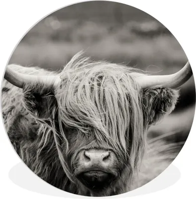 Produktbild von MuchoWow® Rundes Wandbild - Runde Bilder Schottischer Highlander - Kuh - Tiere - Schwarz-Weiß - Ländlich Ø 60 cm Kreis Wanddekoration Kunststoff - Wandkreis - Wandschmuck - Wand Kreis - Das Schlafzimmer - Die Bilder - Wandmalerei - Kunst für das Haus - das Plastik