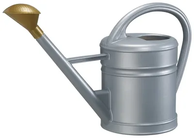 Image de Arrosoir pour fleurs Arrosoir 5l ANTIQUA, couleur zinc, Geli