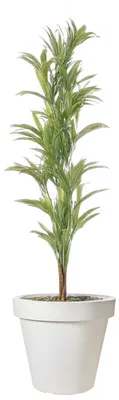 Immagine prodotto di Prodotti da giardino