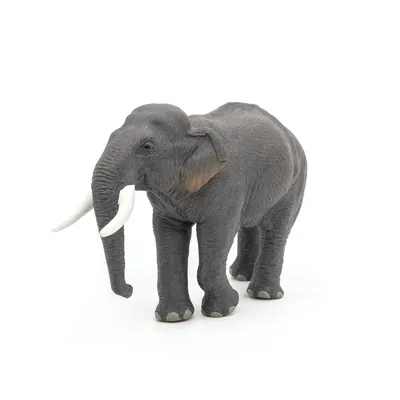 Immagine prodotto di Papo 50131 Figurina elfante asiatico