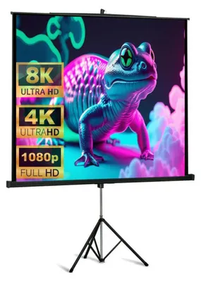 Produktbild von 1:1 DELUXX Professional Proview Beamer Stativleinwand 152 x 152 (146x146)cm (10364) / MW Classico / FULL HD / 3D / 4K / mobile Leinwand mit Standfuß