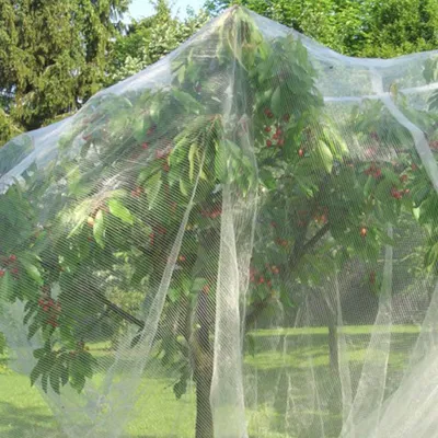 Productafbeelding van Vogelscherm Tuinbescherming - Plantenbeschermingsnet - Barrièrezakken - Trekkoord - 2 Stukken - PE Materiaal - 1,5 x 1 m - Plantennet