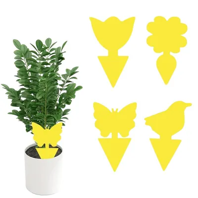 Produktbild von 30 Gelbtafeln Gelbsticker gegen Trauermücken Gelbfalle 100% giftfrei Sonnenblume Gelb