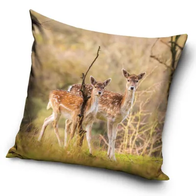 Produktbild von Tiere Hirsch Wald Kissenbezug 40x40 cm