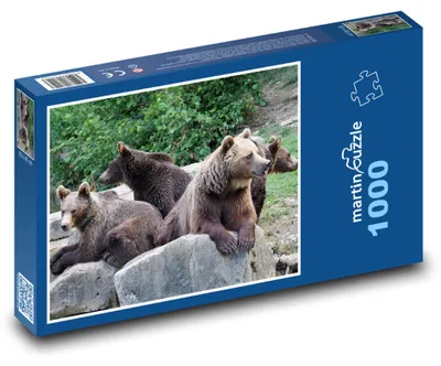 Obrázek produktu pro martinpuzzle - Puzzle 1000 - Medvědi v zoo - zvířata, příroda