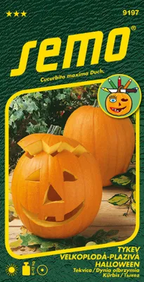Produktbild von Semo Zierkürbis - Halloween 2g - Serie FOR DECORATION