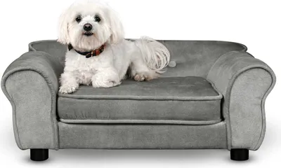 A small white dog is lying on a gray dog sofa.
