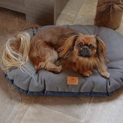 Immagine prodotto di Cuscini per cani e gatti - Flanella morbida marrone reversibile - Lavabile - 55/4
