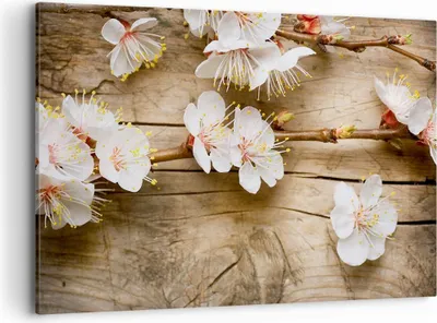 Produktbild von Bild auf Leinwand - Leinwandbild - Blume Stängel - 120x80cm - Wand Bild - Wanddeko - Wandbilder - Leinwanddruck - Bilder - Kunstdruck - Wanddekoration - Leinwand bilder - Wandkunst - AA120x80-3537