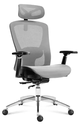 Obrázok produktu pre Ergonomická kancelárska stolička – nastaviteľná bedrová opierka – sivá